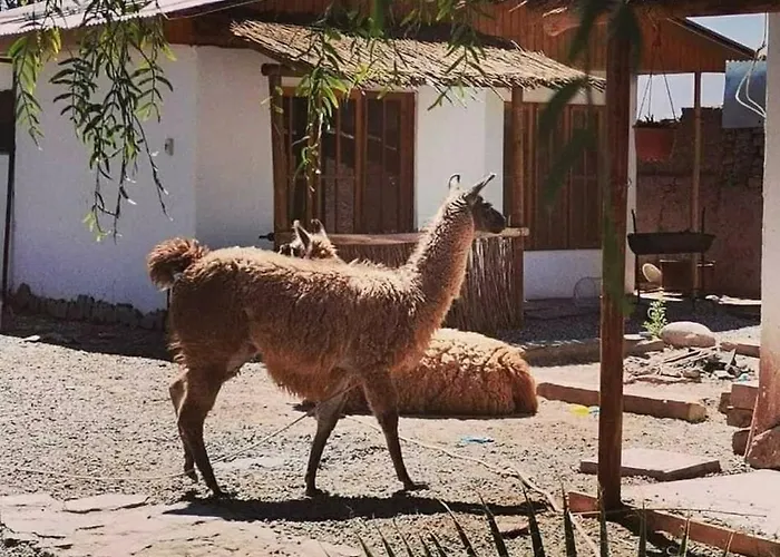 Cabanas Voyage Atacama