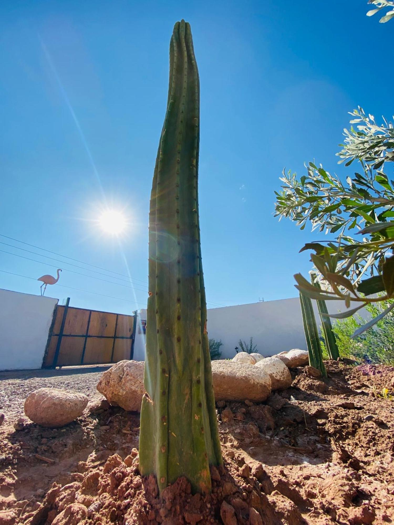 Voyage Atacama Lodge