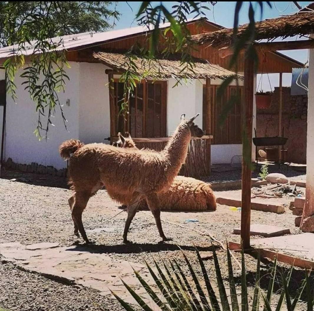 Voyage Atacama Lodge San Pedro de Atacama