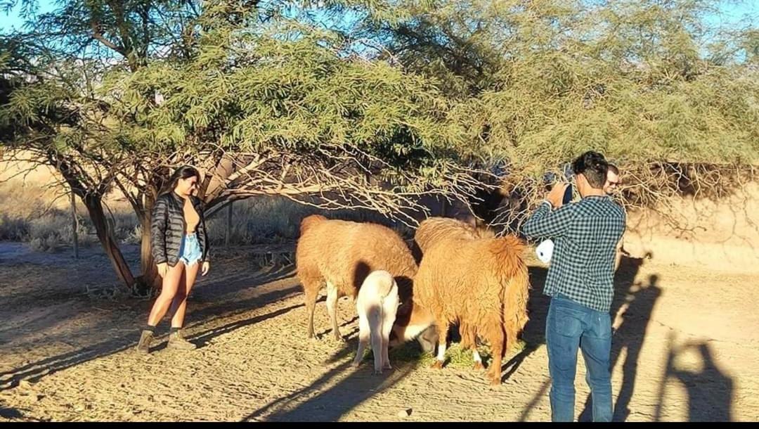 Voyage Atacama Lodge