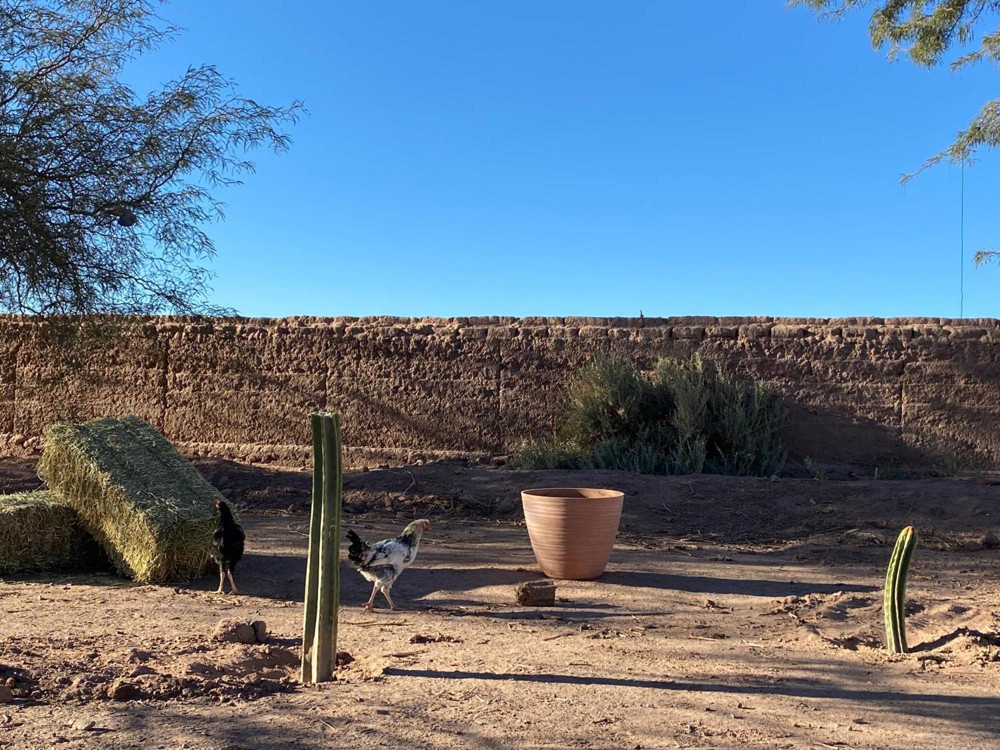 Lodge Voyage Atacama *