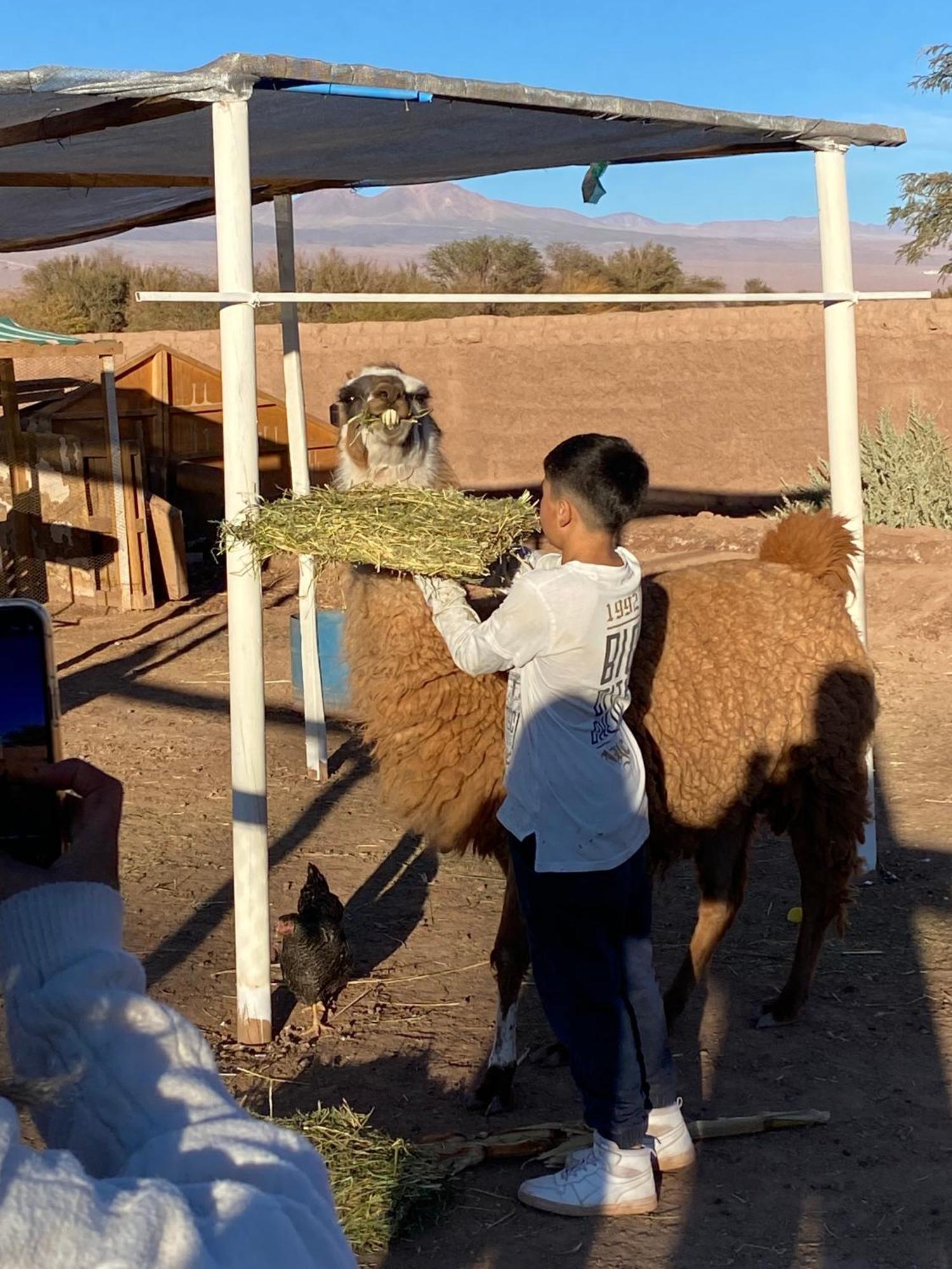 Lodge Voyage Atacama