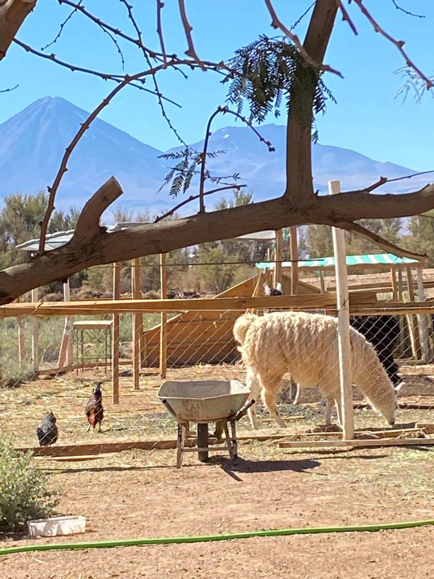 Lodge Voyage Atacama *